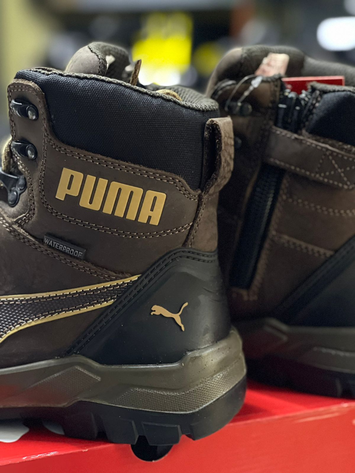 Puma Conquest CTX - Café