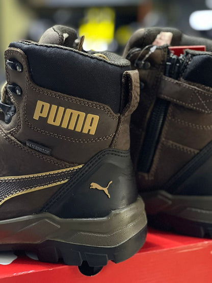 Puma Conquest CTX - Café