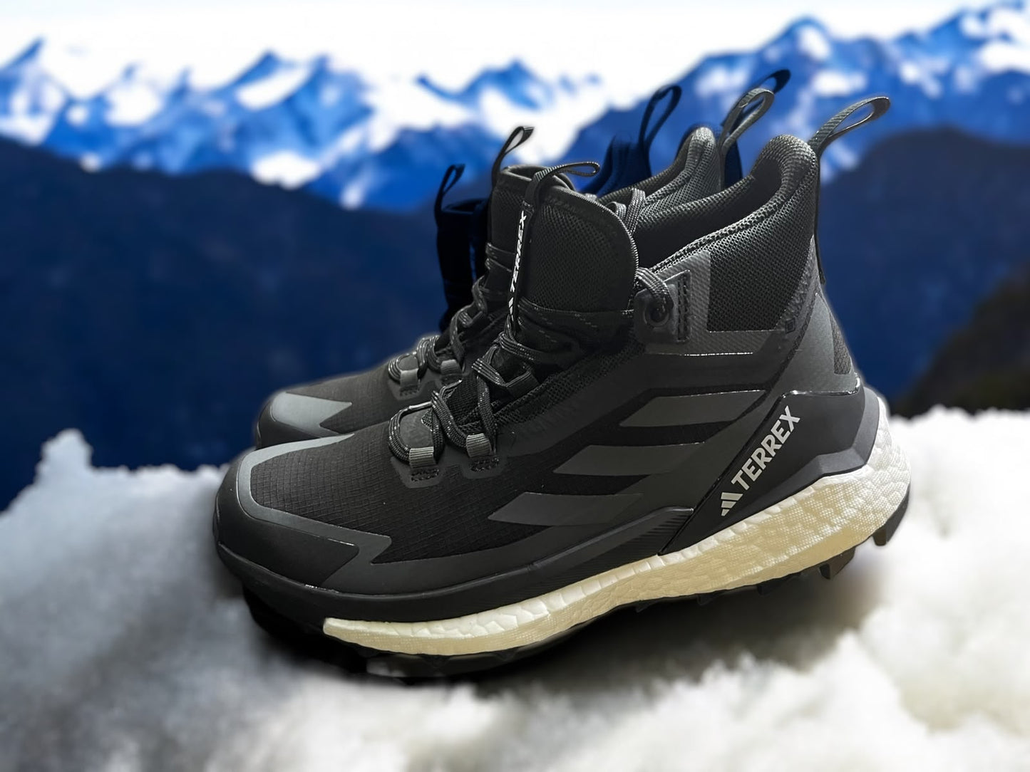 TERREX 1 FREE GTX WMNS